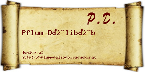 Pflum Délibáb névjegykártya